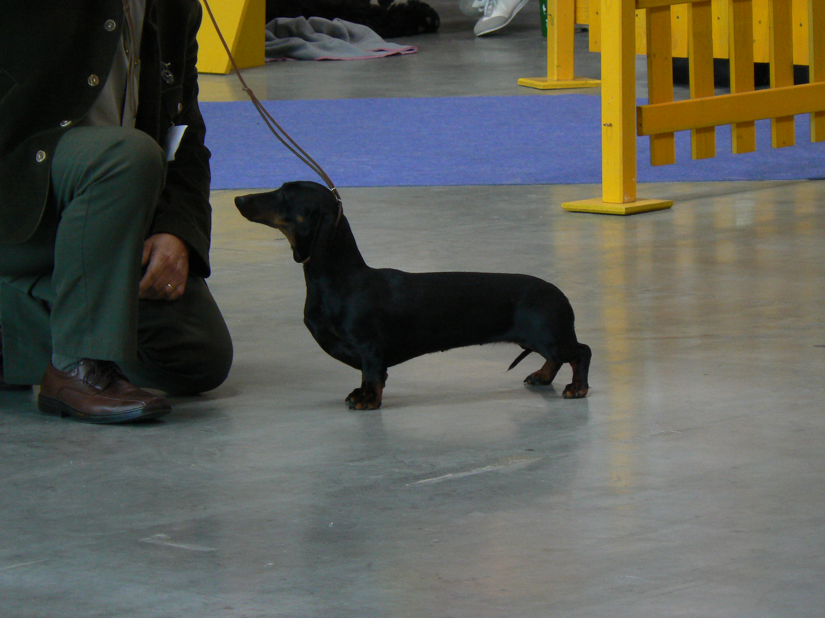 Jessy0038.JPG
