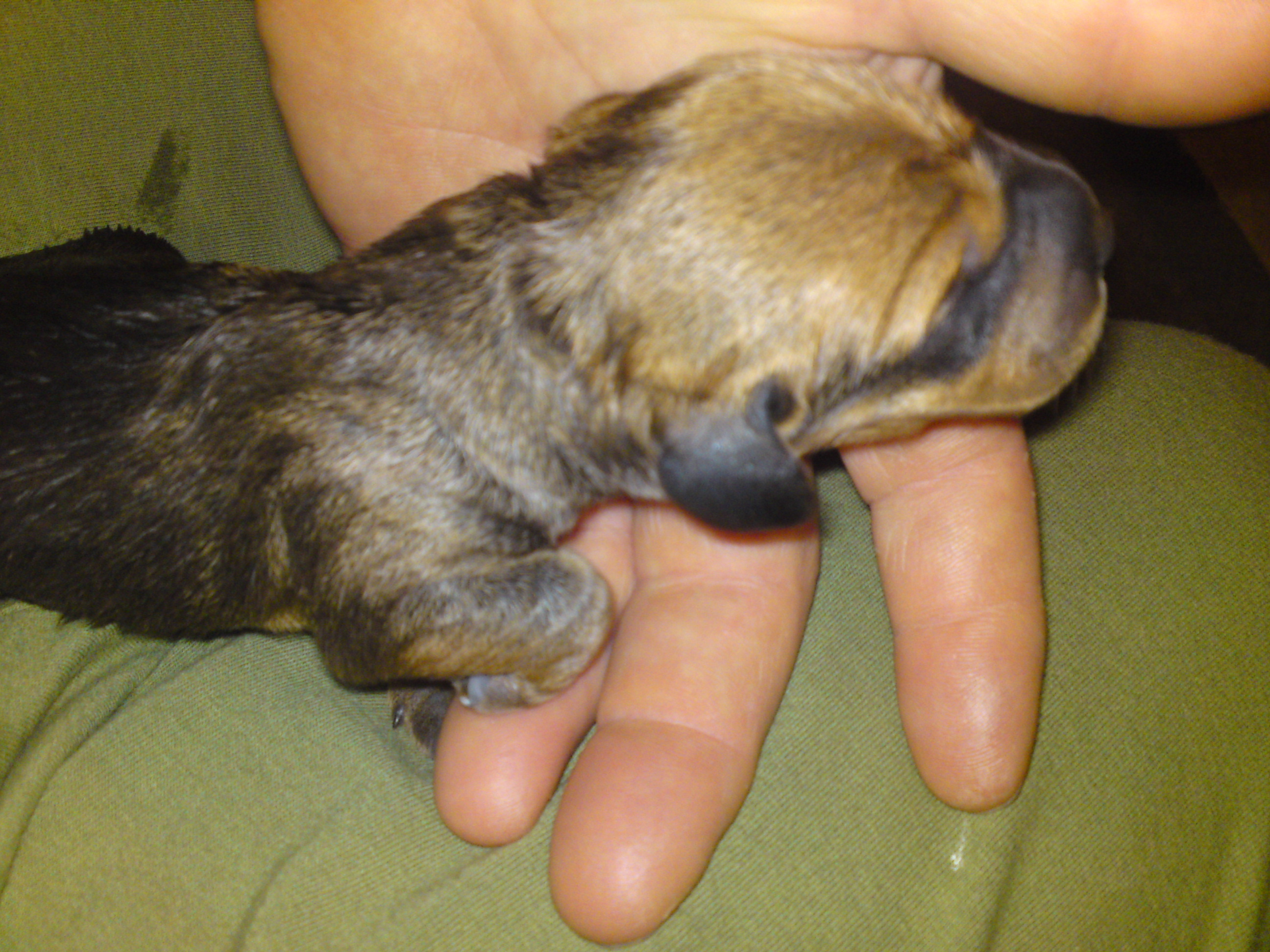 Peggy 2010 004.jpg